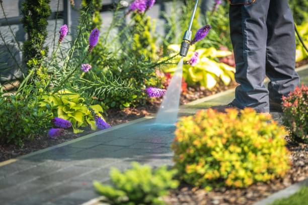 Best Animal Enclosure Cleaning  in Colfax, CA